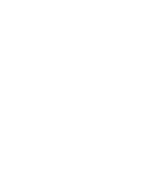 Neuvo Estudio